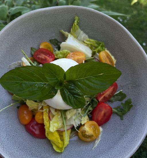 Ein Salat mit Tomaten, Mozzarella und Basilikumblättern auf einem Teller im Freien.