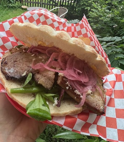 Ein Sandwich mit roten Zwiebeln und Grünzeug, in der Hand gehalten, ruht auf einem karierten Serviettentuch. Im Hintergrund sind ein Holzzaun und grüne Pflanzen zu sehen.