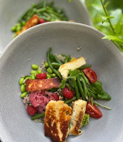 Ein grauer Teller gefüllt mit einem bunten Salat, bestehend aus gebratenem Tofu, grünen Bohnen, Tomaten und Himbeeren, vor einem unscharfen grünen Hintergrund.