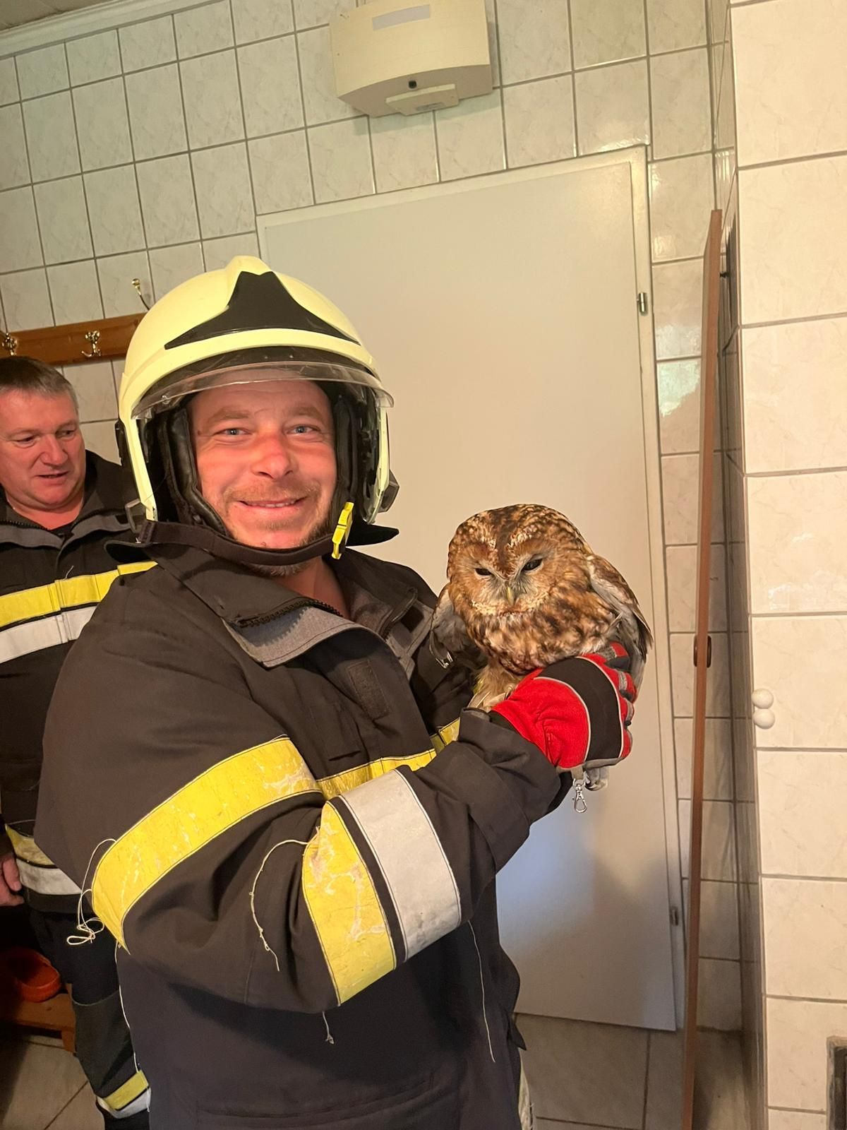 A firefighter holds an owl in his hands in a tiled room. Another firefighter stands behind him. Both are smiling.