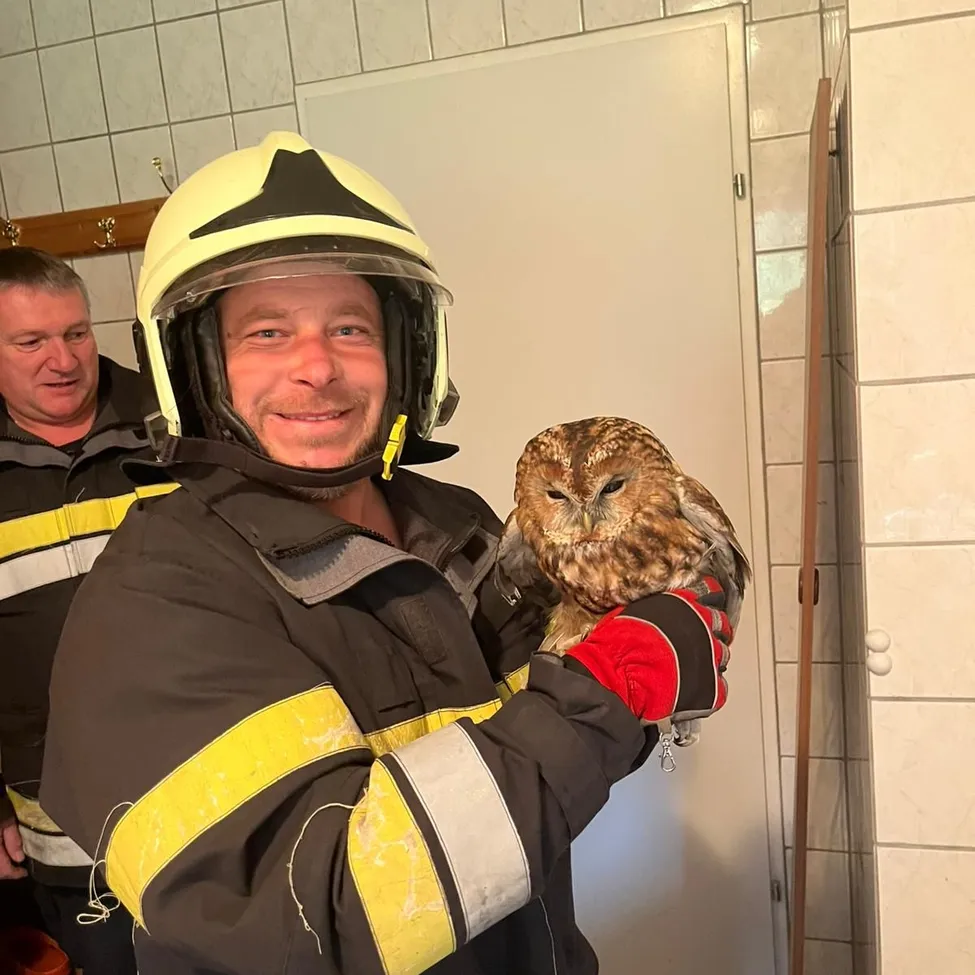 Ein Feuerwehrmann hält eine Eule in den Händen in einem gefliesten Raum. Ein anderer Feuerwehrmann steht hinter ihm. Beide lächeln.