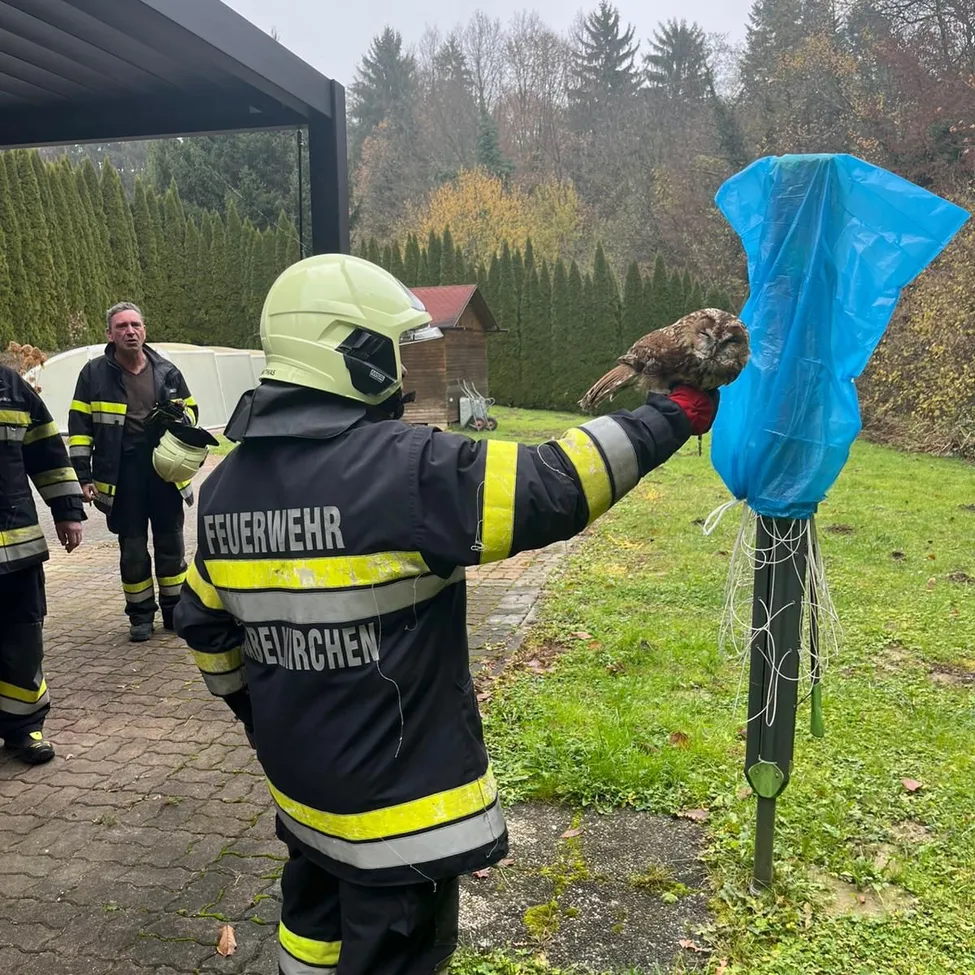 Ein Feuerwehrmann hält eine Eule in einer blauen Tasche, während zwei andere beobachten. Dahinter ist ein kleines Gebäude zu sehen, und der Boden ist mit Gras bedeckt.