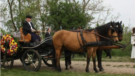 v1_migrated_image_63909864