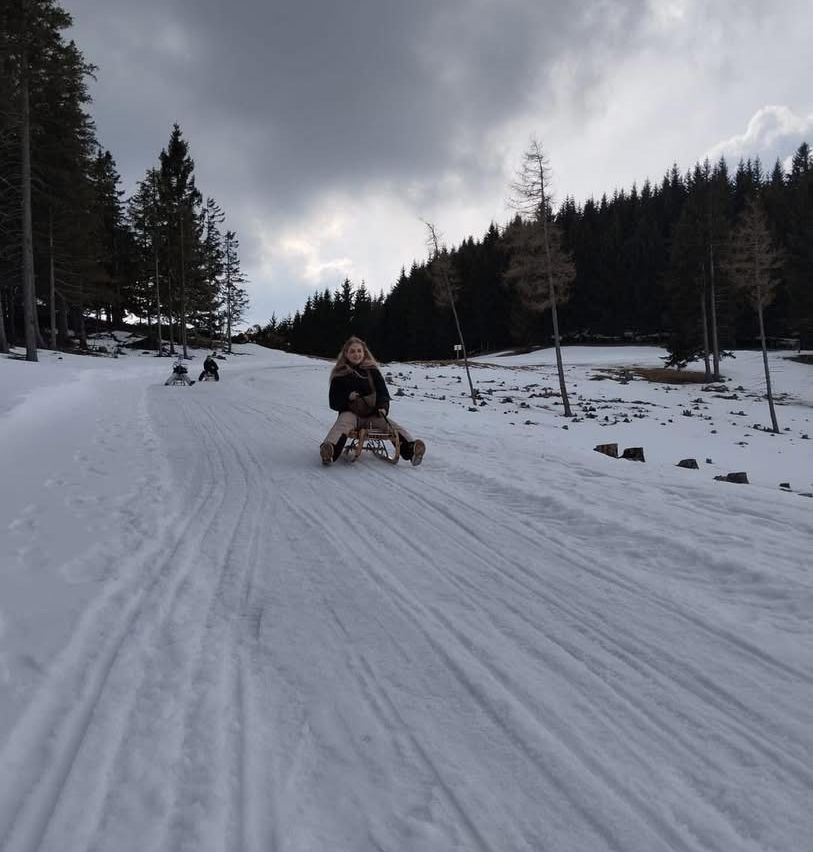 A person is riding a sled down a snowy hill. Trees line the sides of the hill.