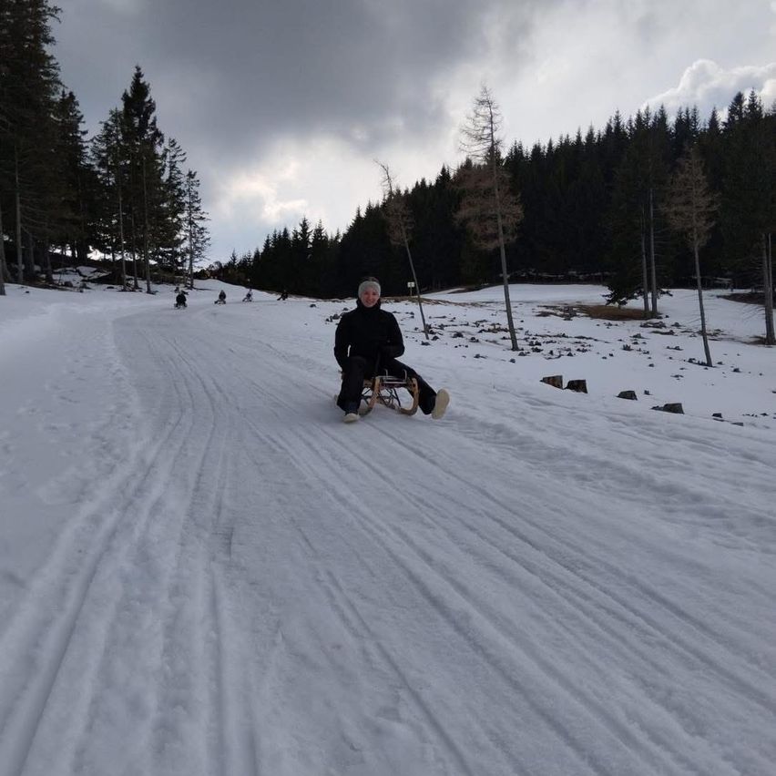 A person sits on a sled and rides down a snowy slope with pine trees and rocks on the side.