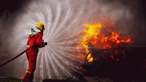 v1_migrated_image_22575464