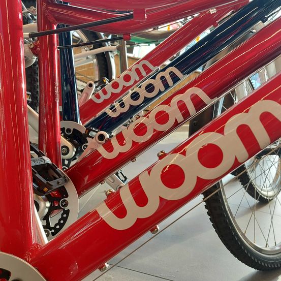 Bild enthält, Machine, Spoke, Wheel, Bicycle, Transportation, Vehicle, Person, Tire