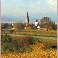 Gemeindebücherei Gols-Logo
