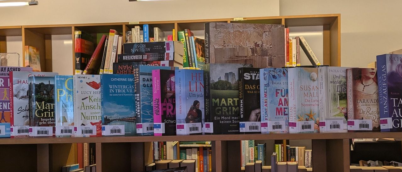 Ein hölzerne Bücherregal in einer Bibliothek gefüllt mit Büchern. Die Titel umfassen 'Das Erste Licht', 'Heide', 'Martin Grimm' und 'Anders Frandsen'.