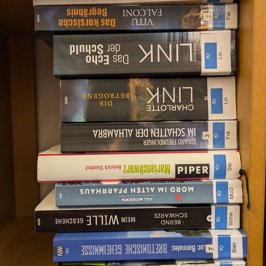 A stack of books titled 'The Witcher', 'The Name of the Wind', 'The Eye of the World', and others, placed on a wooden shelf.