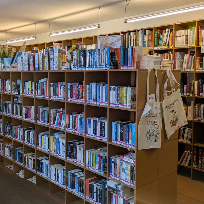 Eine gut organisierte Bibliothek mit Holzregalen voller Bücher, einer weißen Decke mit hängenden Lampen und zwei Einkaufstüten mit Mausdesign, die an der Seite eines Regals hängen.