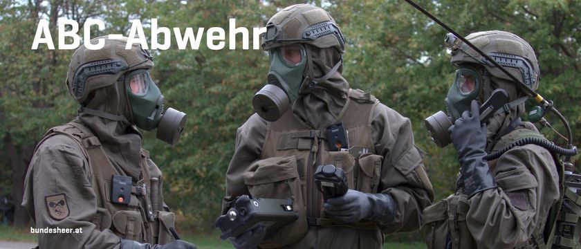 v1_migrated_image_75118593