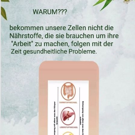 Bild enthält, Advertisement, Herbal, Herbs, Plant, Poster, Text