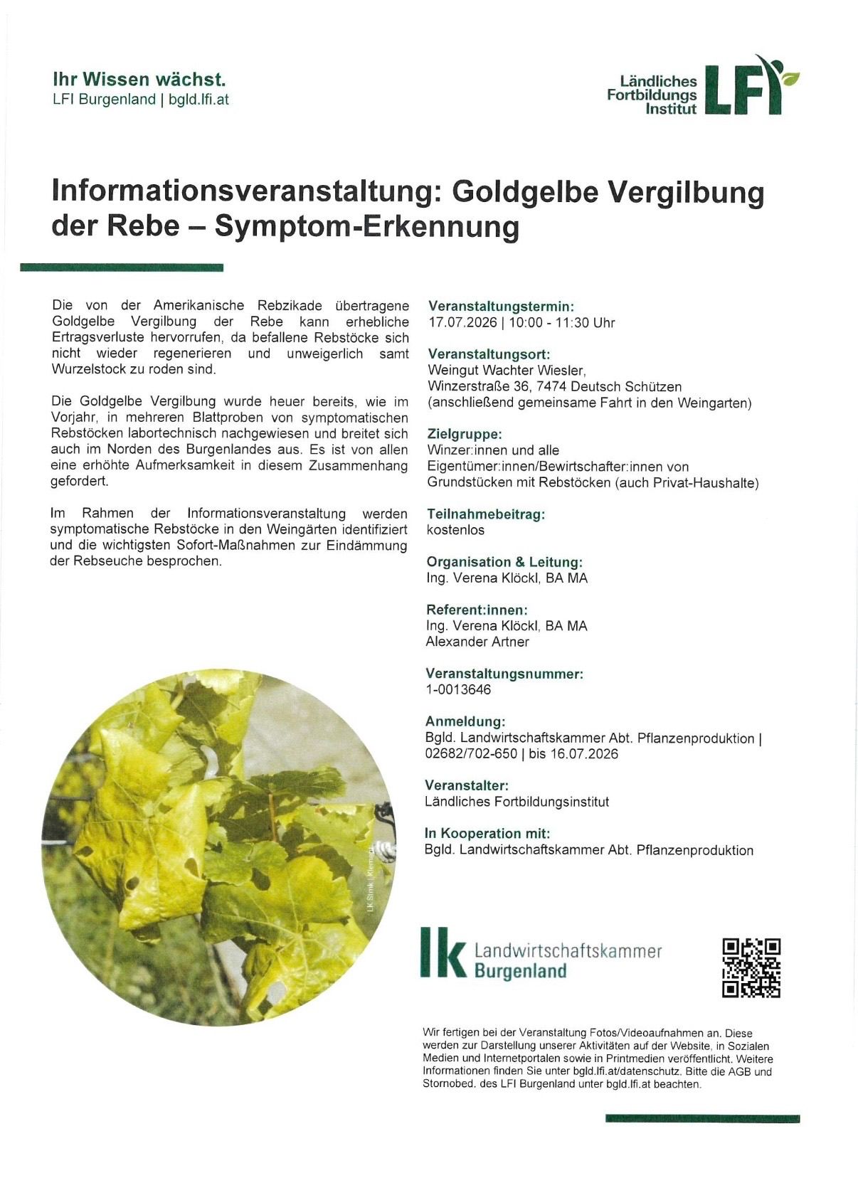 Ein Flyer für eine Veranstaltung über die goldgelbe Vergilbung der Rebe, mit einem Nahaufnahme eines Rebblattes mit Symptomen der Krankheit. Der Flyer enthält Details über Datum, Uhrzeit und Ort der Veranstaltung sowie die Namen der Organisatoren und Redner.