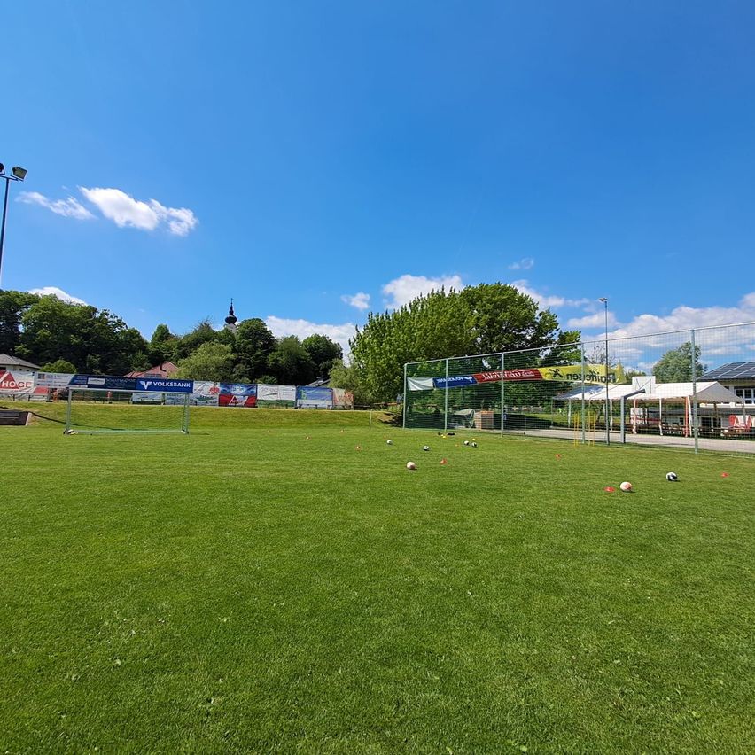 Ein Fußballfeld mit Tor, umgeben von einem Zaun, gefüllt mit Bällen. Eine Straßenlaterne ist sichtbar, und im Hintergrund befinden sich Häuser und Bäume.