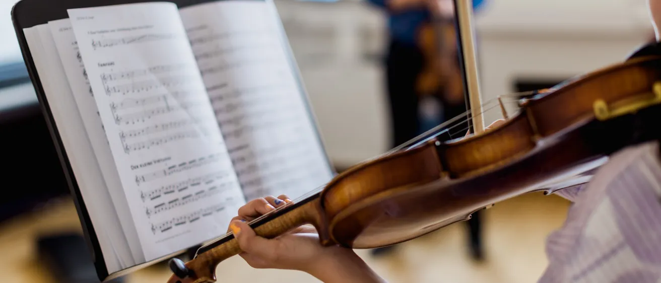 Musical Instrument, Violin, Person, Face, Head