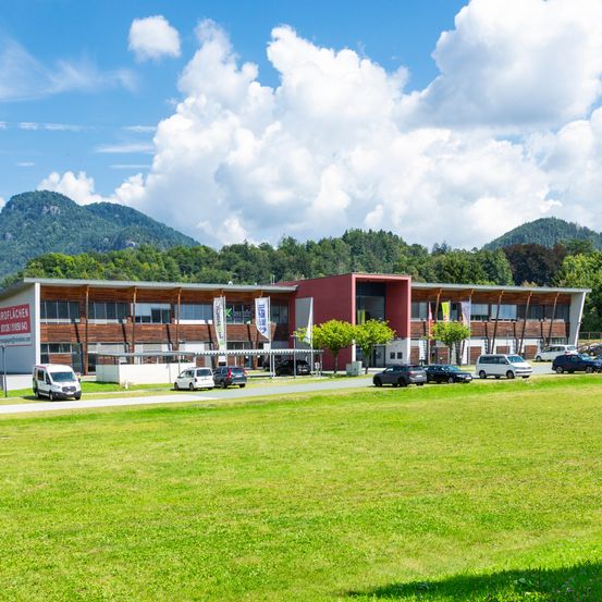 Grass, Lawn, Fir, Tree, Building, Hotel, Campus, Car, Outdoors, Scenery
