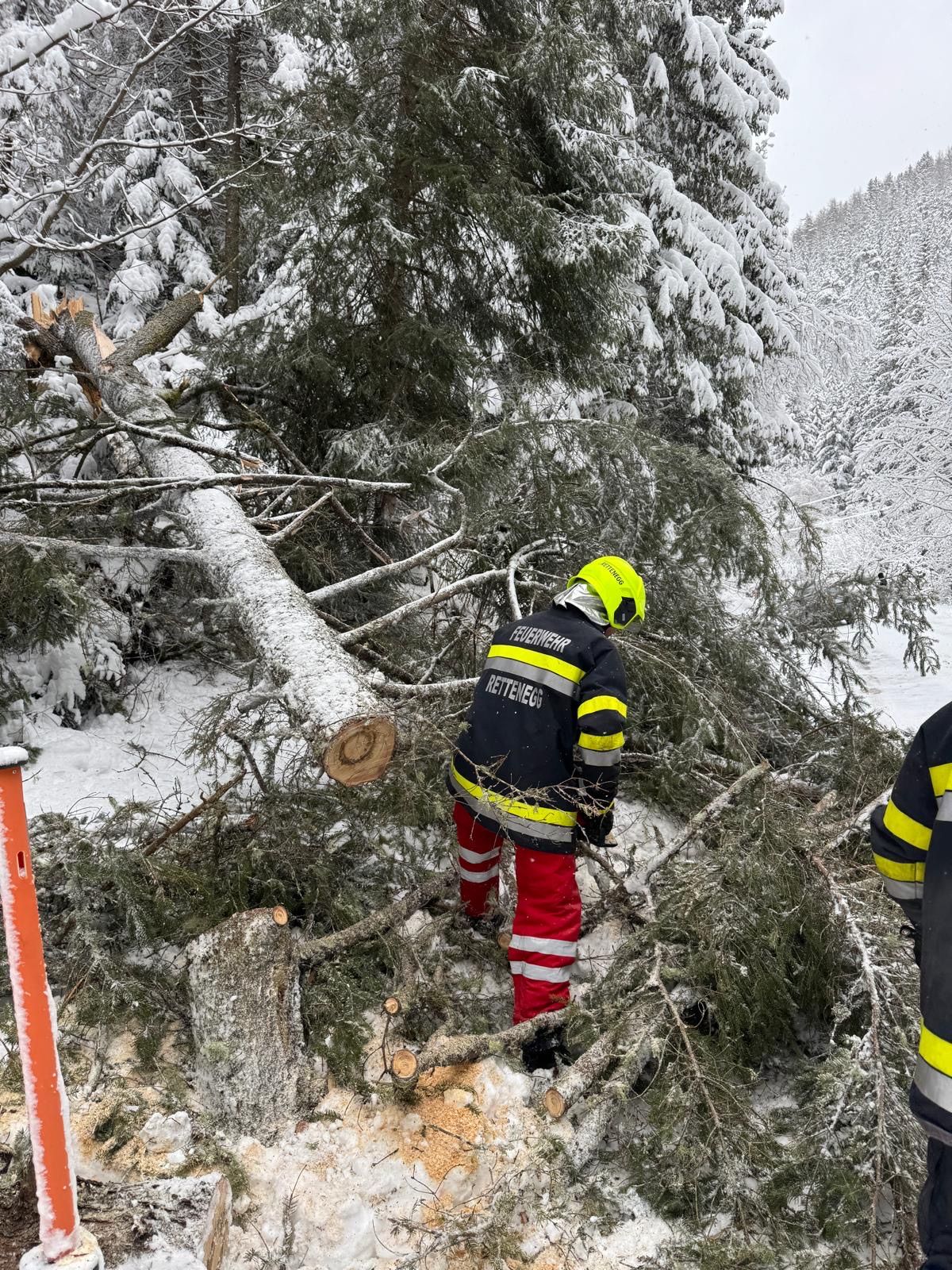 Ein Feuerwehrmann in einem gelben Helm arbeitet daran, einen umgestürzten Baum in einem verschneiten Bereich zu beseitigen. Er trägt ein rotes und schwarzes Uniform mit reflektierenden gelben Streifen.