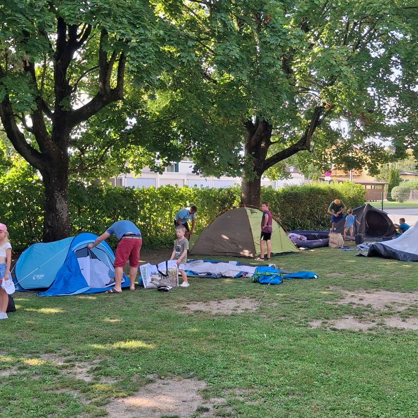 Eine Gruppe von Menschen baut ihre Zelte auf einem Rasen auf. Einige Zelte sind bereits aufgebaut, während andere im Aufbau sind. Bäume und Büsche umgeben das Gebiet.