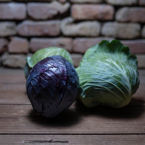 Bild enthält, Food, Leafy Green Vegetable, Plant, Produce, Vegetable, Cabbage, Head Cabbage