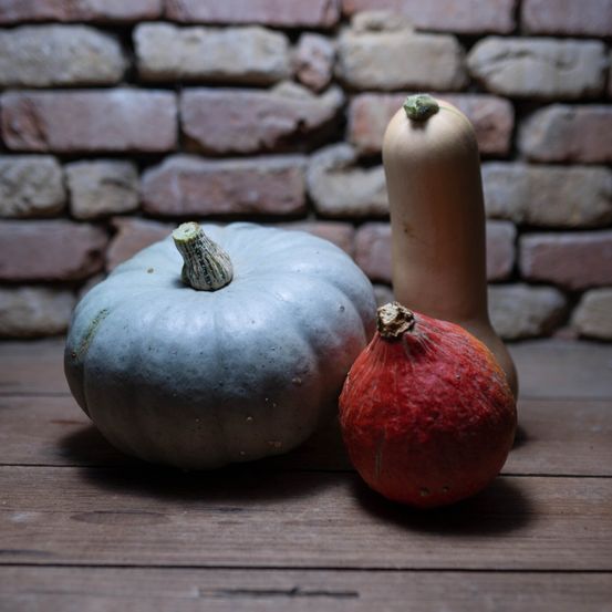 Bild enthält, Food, Plant, Produce, Squash, Vegetable, Pumpkin, Fruit, Pear