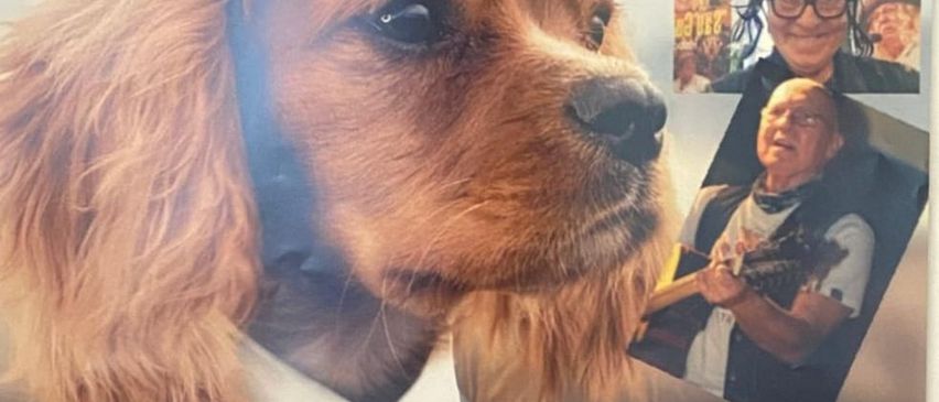 Bild enthält, Advertisement, Poster, Adult, Male, Man, Person, Tie, Dog, Publication, Face