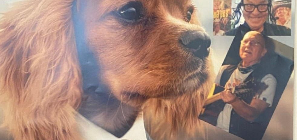 Bild enthält, Advertisement, Poster, Adult, Male, Man, Person, Tie, Dog, Publication, Face