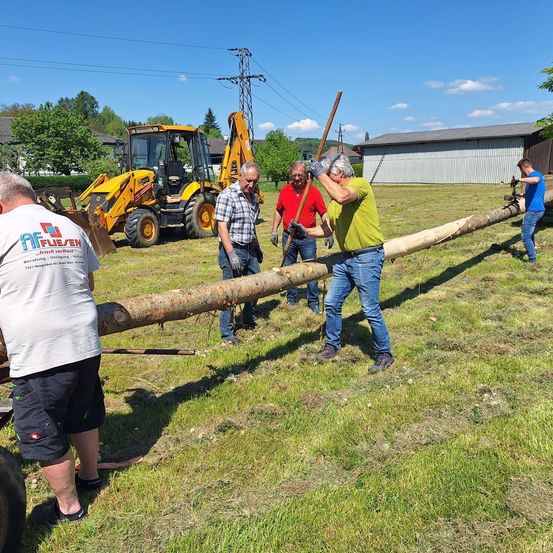 Fünf Männer arbeiten auf einem großen Baumstamm in einem Grasfeld. Einer hält einen Holzstab, während ein anderer ein Werkzeug festhält. Ein gelber Bagger ist im Hintergrund.