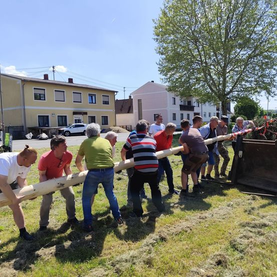 Mehrere Männer ziehen einen langen Baumstamm auf einer Grasfläche mit Gebäuden im Hintergrund.