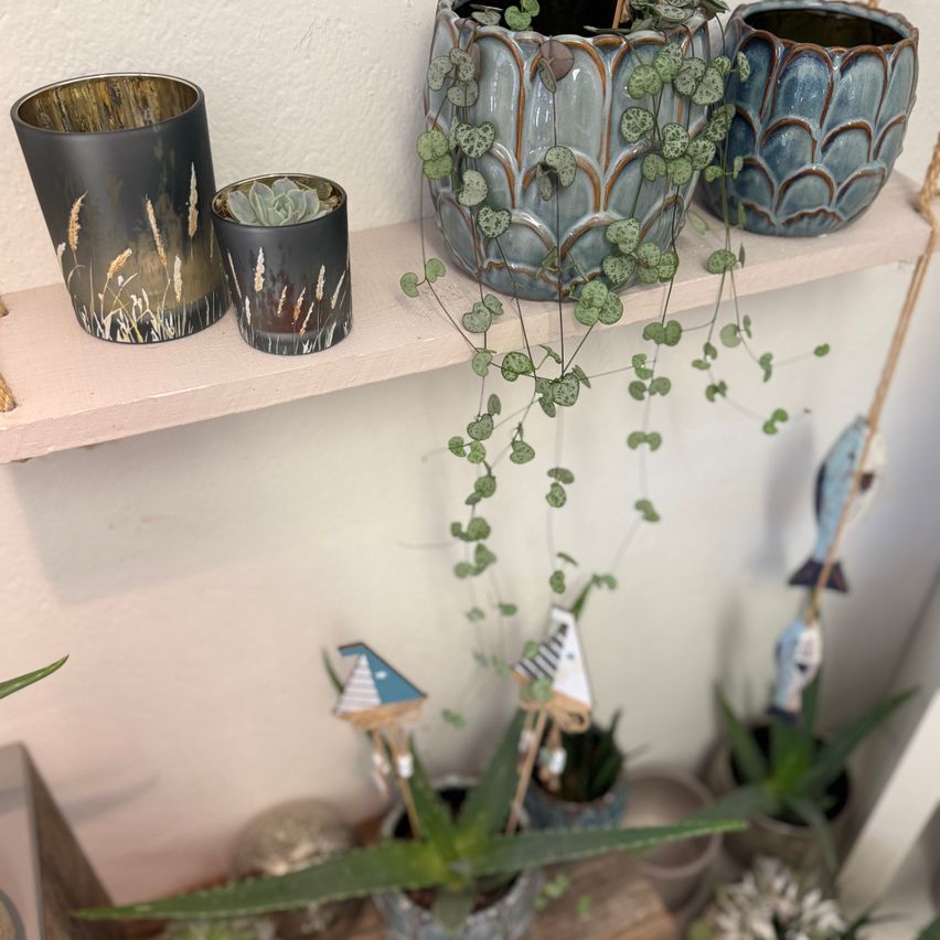 Ein Holzregal mit verschiedenen Dekorationsartikeln, darunter eine große blaue Keramikvase mit einer Pflanze, eine kleinere schwarze Vase mit einer Pflanze und ein kleiner Topf mit einer Sukkulente.