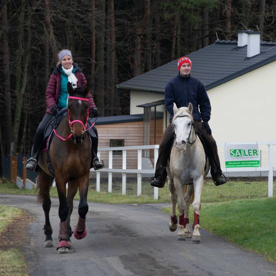 Bild enthält, Glove, Animal, Equestrian, Horse, Mammal, Person, Adult, Male, Man, Hat