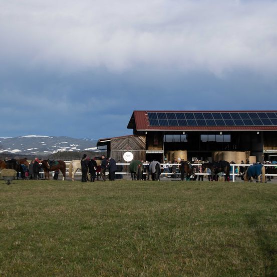 Bild enthält, Grass, Outdoors, Shelter, Person, Horse, Shoe, Hat, Bench, Electrical Device, Nature