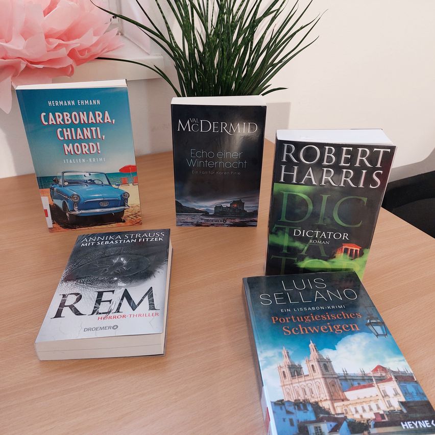 Five books on a table, one of which is a horror thriller by Rem. A pink flower and a potted plant are also visible.