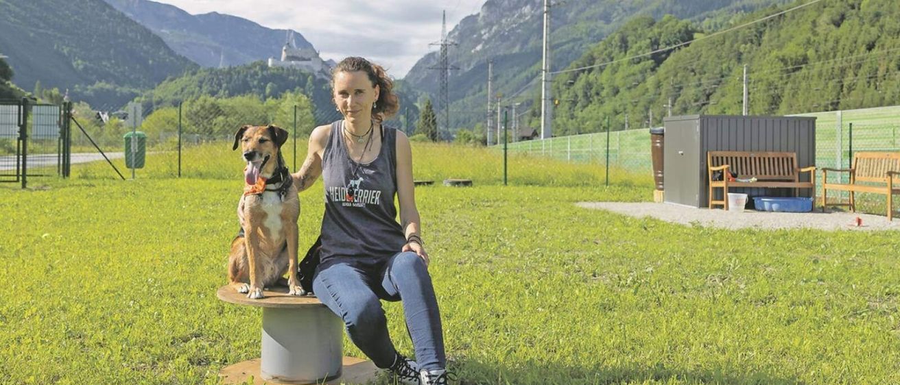 Bild enthält, Grass, Person, Sitting, Pants, Nature, Outdoors, Park, Vegetation, People, Dog