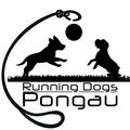 Silhouette, Stencil, Person, Canine, Dog, Mammal, Pet, Tennis, Tennis Ball, Head