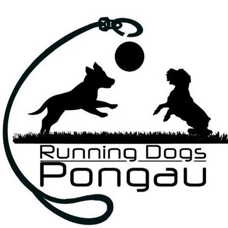 Bild enthält, Silhouette, Stencil, Person, Canine, Dog, Mammal, Pet, Tennis, Tennis Ball, Head