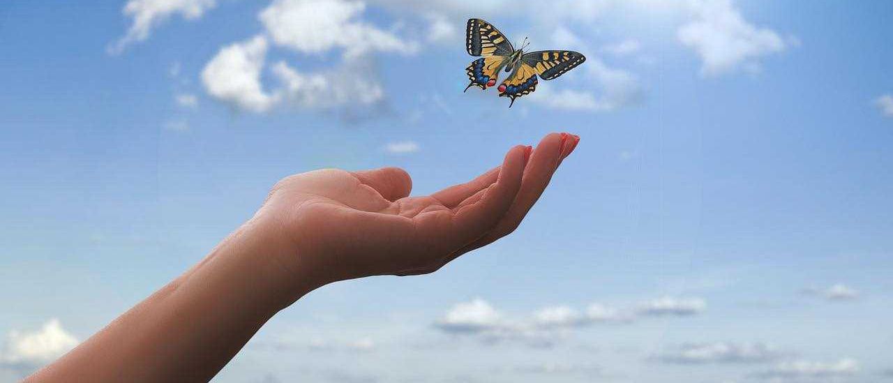 Bild enthält, Finger, Hand, Person, Flying, Nature, Outdoors, Sky, Adult, Female, Woman
