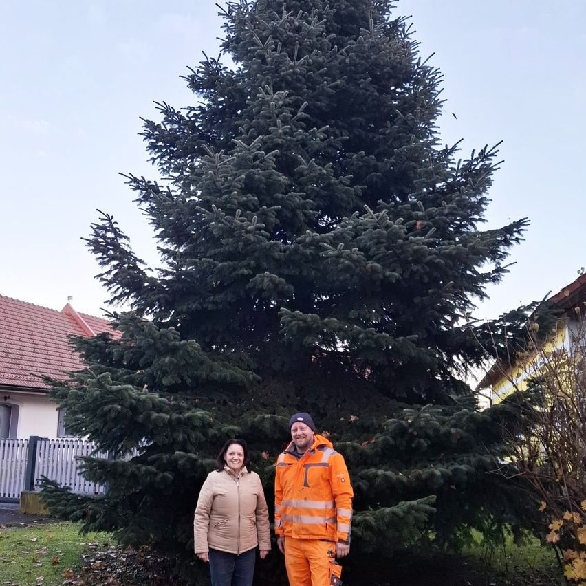 Zwei Personen stehen vor einem großen Tannenbaum an einem sonnigen Tag. Die Frau trägt eine beige Jacke, und der Mann ein orangefarbenes Sicherheitsoutfit. Hinter ihnen steht ein Haus mit rotem Dach und einer weißen Einzäunung.