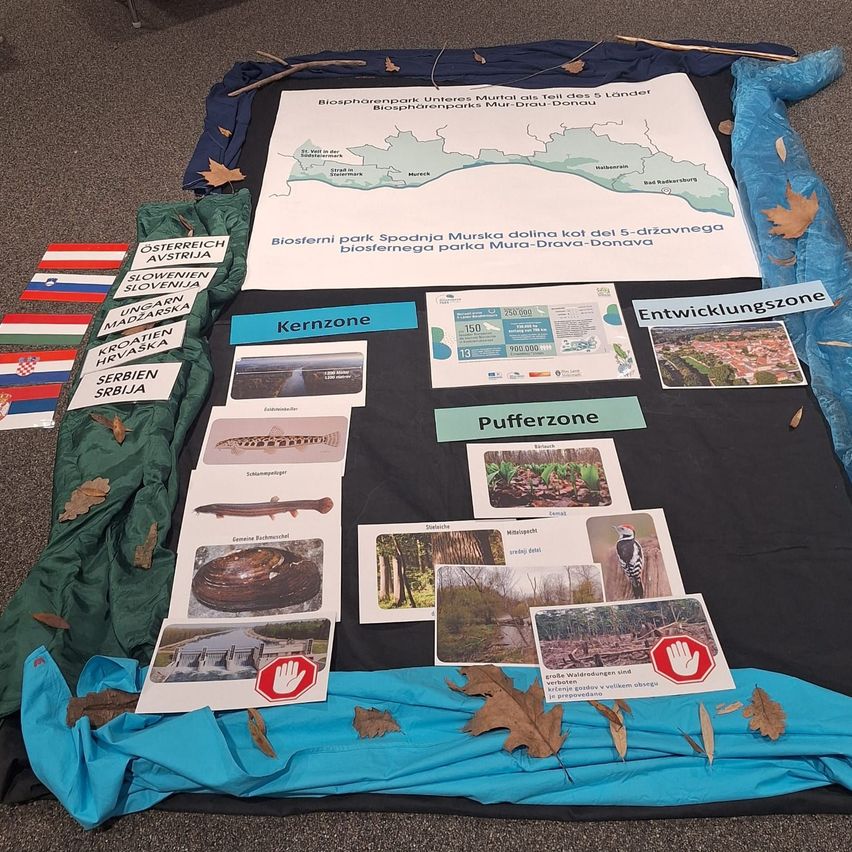 Eine ausgebreitete Ausstellung auf einer schwarzen Oberfläche mit verschiedenen Karten, Flaggen und Papieren. Die Hauptkarte heißt 'Biosphärenpark Unteres Murtal' mit einer Karte. Andere Karten haben Begriffe wie 'Kernzone' und 'Pufferzone'. Mehrere Flaggen verschiedener Länder sind ebenfalls vorhanden.