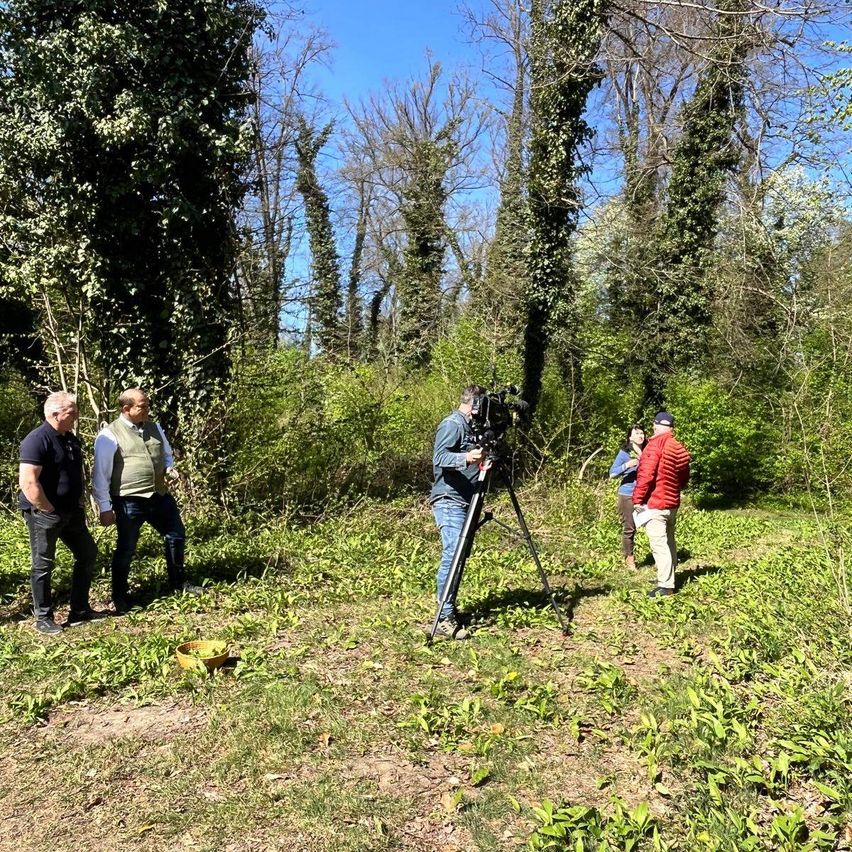 Five people are standing in a wooded area. One man holds a tripod and camera. Two men stand close together on the left, and two more on the right.