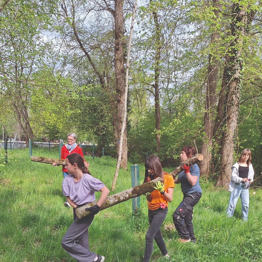 Fünf Personen im Wald tragen große Baumstämme und tragen Handschuhe. Zwei Frauen tragen eine Brille, und eine weitere hält einen Stamm. Bäume umgeben sie, und ein Zaun begrenzt das Gebiet.