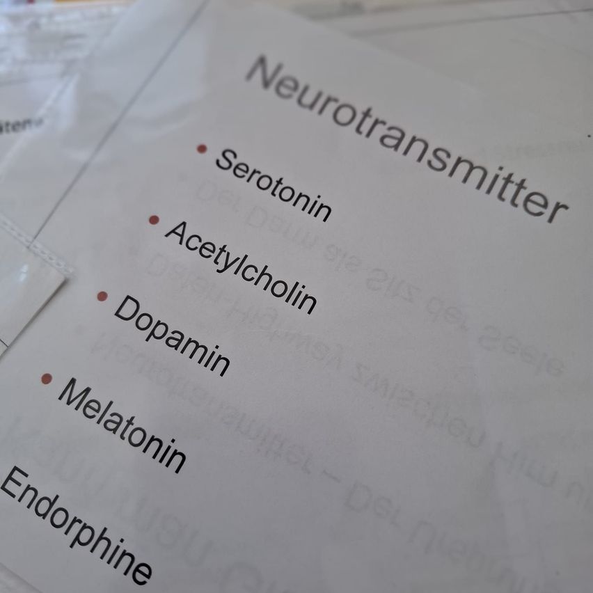 Ein Nahaufnahme eines weißen Papiers mit schwarzem Text, der Neurotransmitter wie Serotonin, Acetylcholin, Dopamin und Melatonin auflistet.