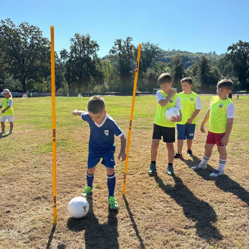 A young boy practices kicking a soccer ball between two yellow poles on a grassy field with other children and trees in the background.