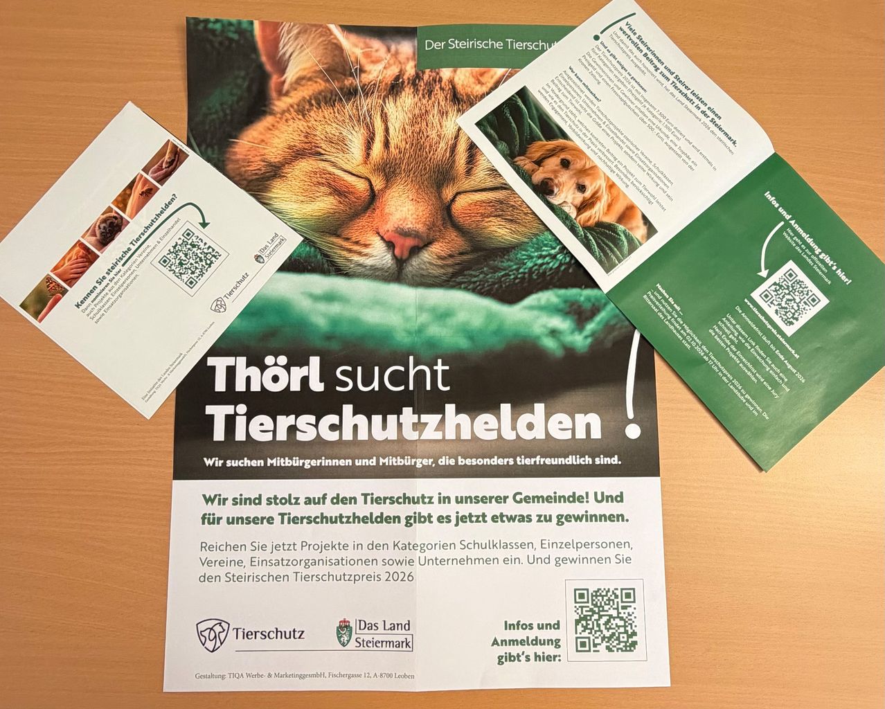 A poster with a sleeping cat and dog on a green blanket. The poster is for the Styrian Animal Protection Prize 2026, seeking animal-friendly individuals and organizations. It includes categories for school classes, individuals, associations, and companies. QR codes are present for more information.