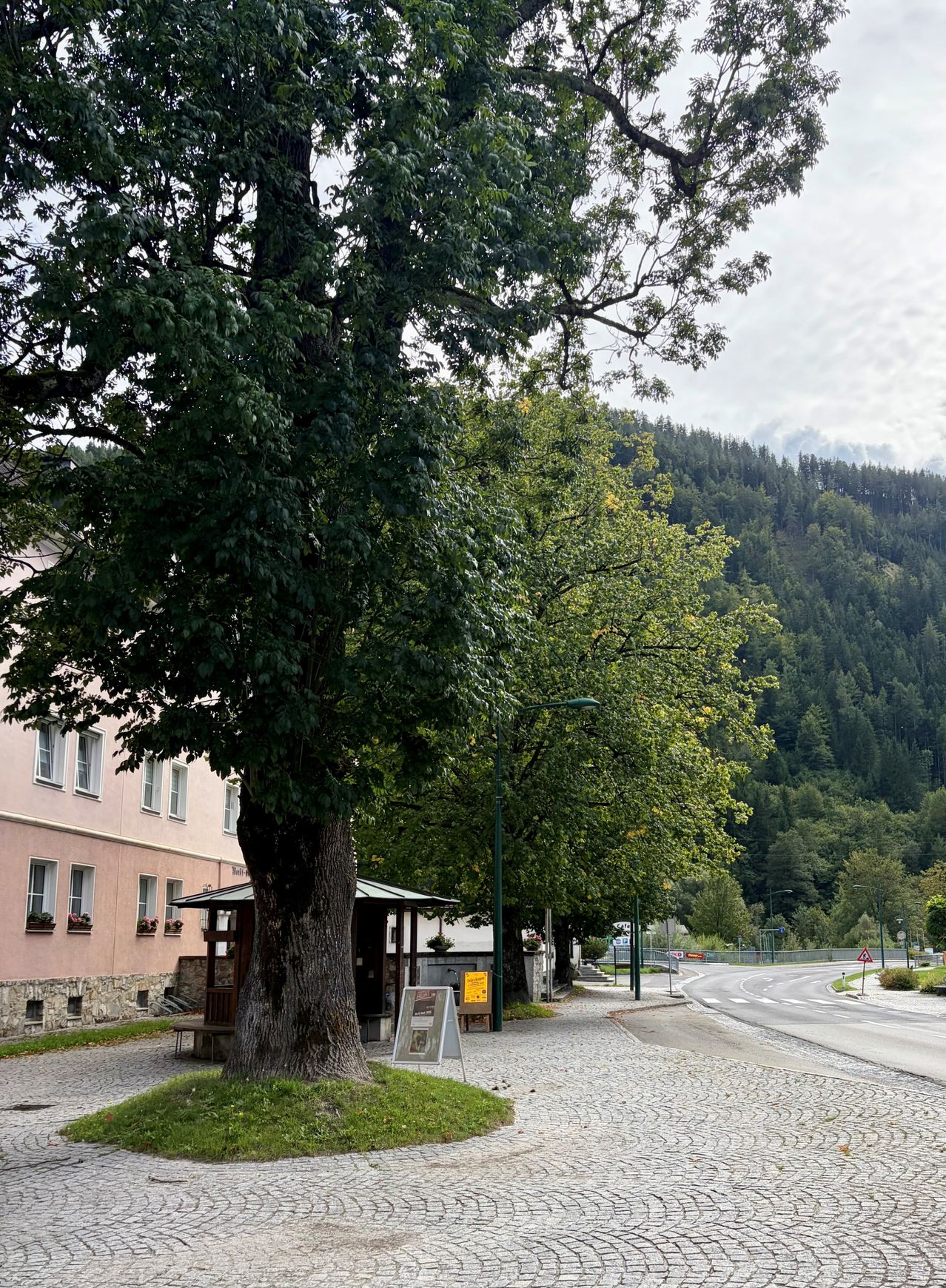 Eine Kopfsteinpflasterstraße, gesäumt von Bäumen und einem kleinen Gebäude mit einem Schild davor. Im Hintergrund befindet sich ein Berg mit Bäumen und einem Gebäude.