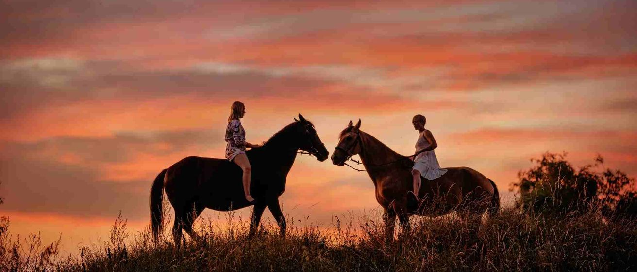 v1_migrated_image_67867973