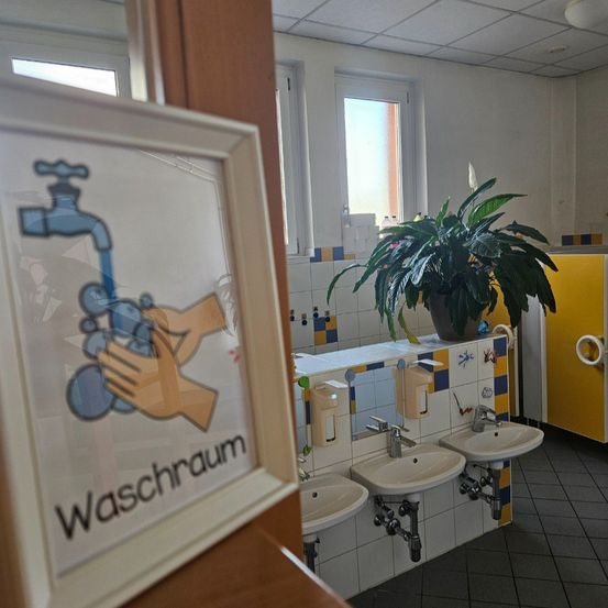 Plant, Sink, Clinic, Sink Faucet, Indoors