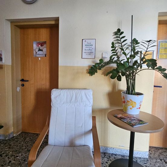 Chair, Furniture, Plant, Potted Plant, Table, Person, Indoors, Interior Design, Building, Foyer