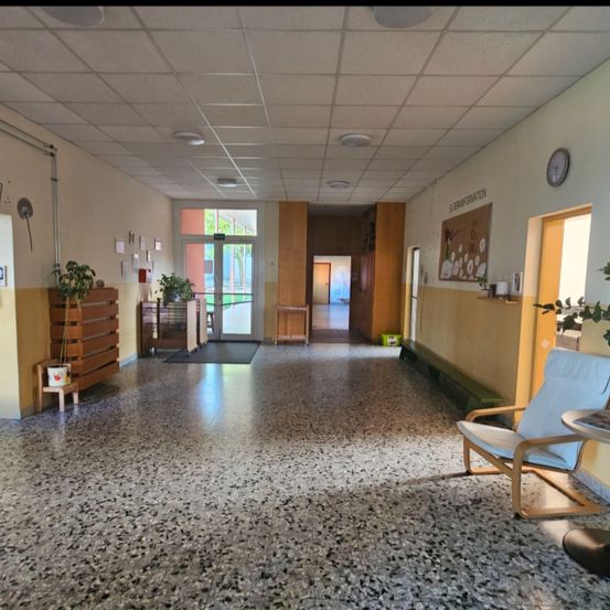 Floor, Flooring, Architecture, Building, Chair, Furniture, Foyer, Indoors, Plant, Living Room