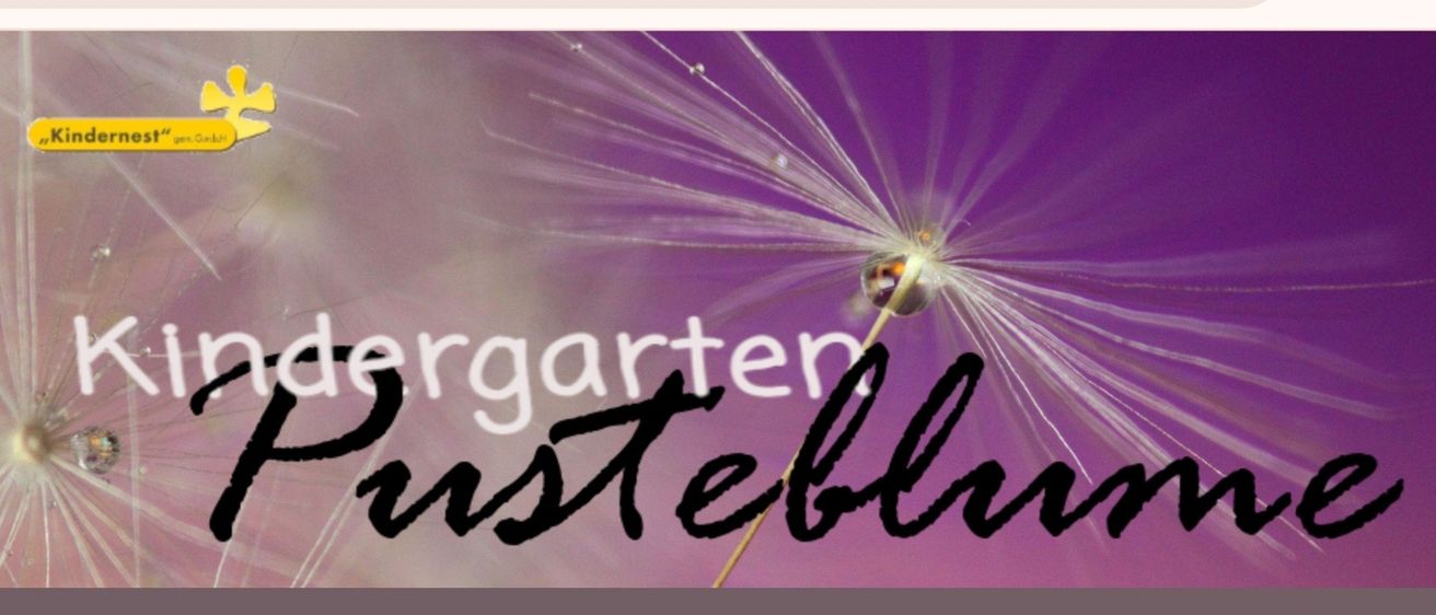 Bild enthält, Flower, Plant, Purple, Dandelion